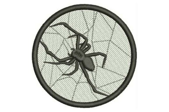 Spider